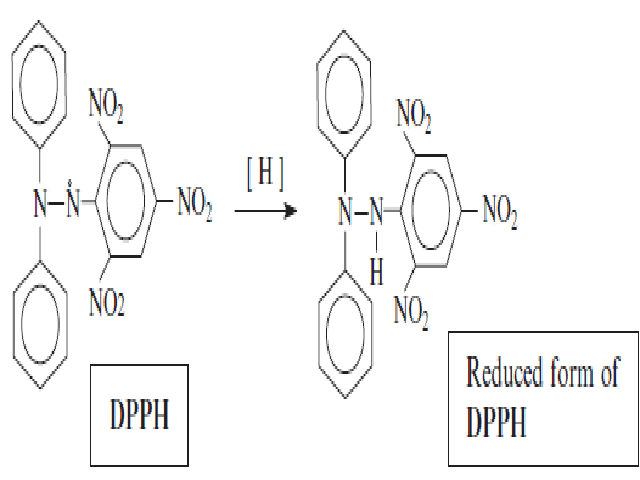 Reduction of 1,1, Diphenyl -2-Picryl hydrazyl – (DPPH) free radical