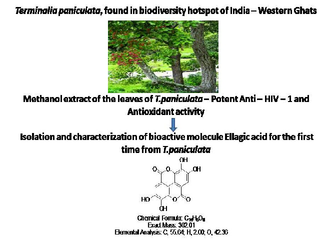 Graphical Abstract