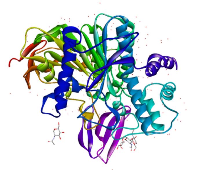 X-ray crystallography structure of Acetylcholine esterase