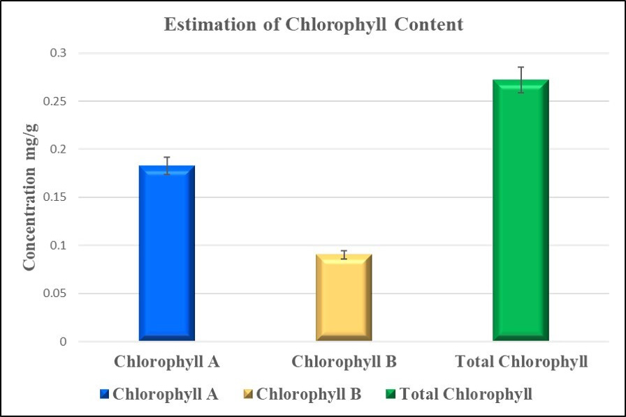 Quantity of chlorophyll of B. monnieri fresh stem extract. The bars sharing the values are represented in mean±SEM.